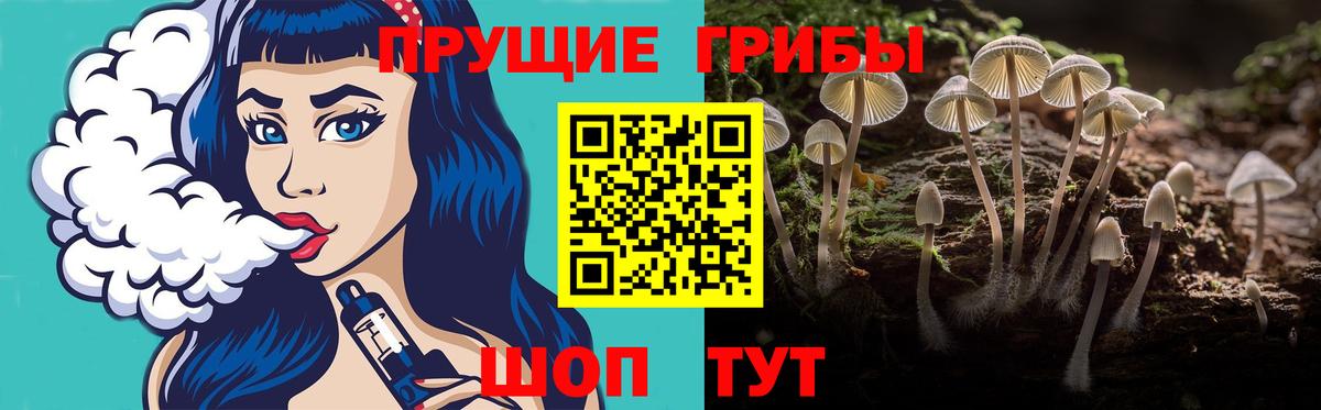 где купить наркоту  Вход с VPN  Краснокаменск  Псилоцибиновые грибы мицелий 